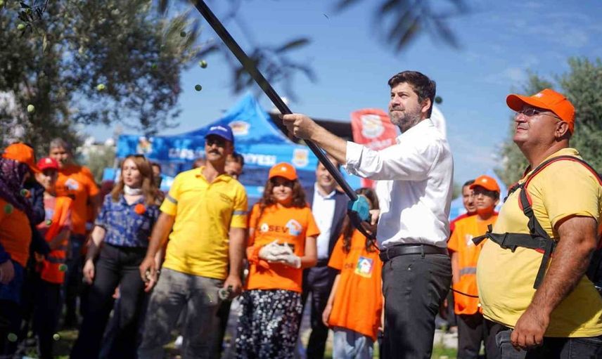 Tarsus'ta lösemili çocuklar için düzenlenen zeytin hasadı etkinliği