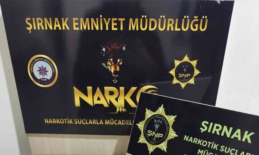 Şırnak'ta asayiş ve narkotik operasyonlarında önemli başarı sağlandı