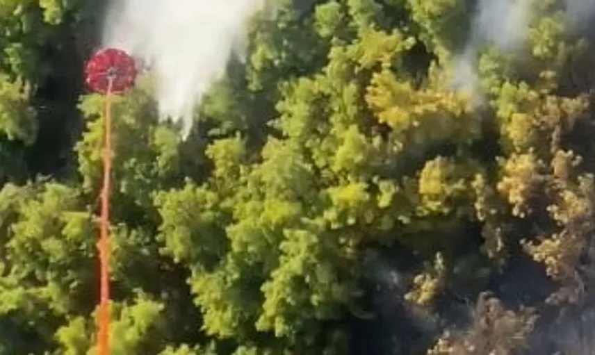 Manavgat’taki orman yangını kontrol altına alındı: Ekipler soğutma çalışmalarına devam ediyor
