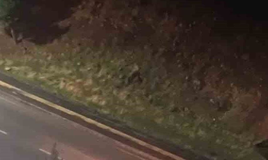 Siirt'te yağmur kazaya sebep oldu: İki kişi yaralandı