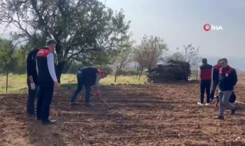 Tunceli'de yalnız yaşayan üreticiye tarım ekiplerinden destek