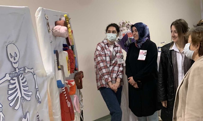 1. Anatomi Materyalleri Sergisi: Farklı maddeler anatomik materyallere dönüştü