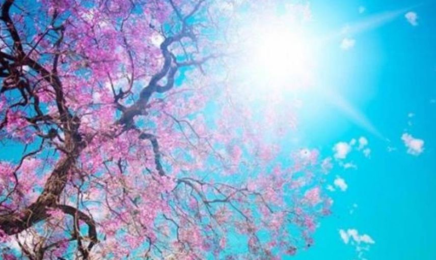 1 Nisan 2022 Cuma hava durumu nasıl olacak? Meteoroloji Genel Müdürlüğü  1 Nisan 2022 hava durumu tahmin raporunu yayımladı: Sıcaklıklarla beraber yağışlar da geliyor