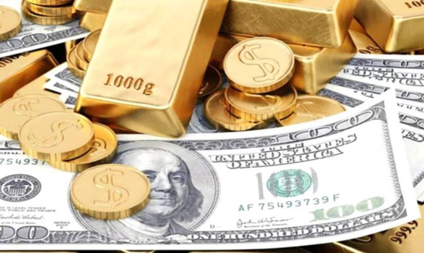 10 ay sonra ilk kez yaşandı! Merkez Bankası döviz satışı yapmadı
