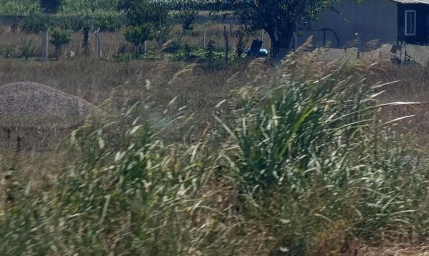 Karacabey'de makilik alanda yangın paniği: Ekipler seferber oldu
