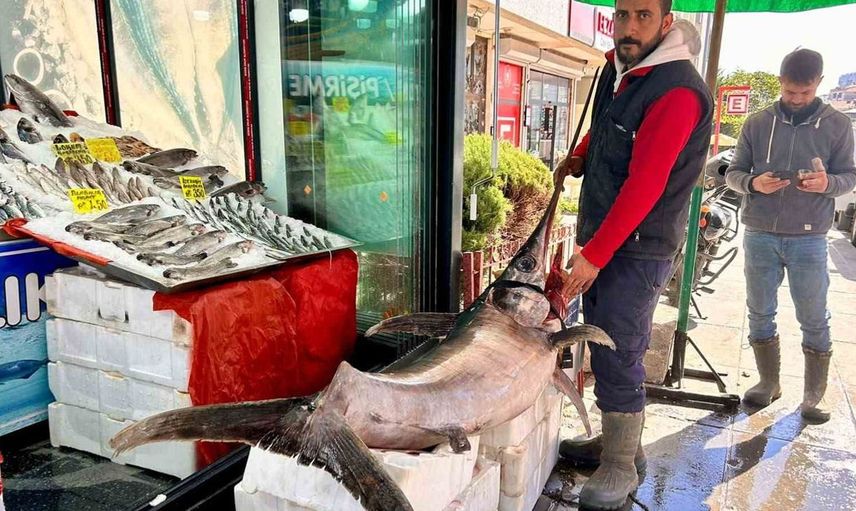 Ankara'da dev kılıç balığı hem lezzeti hem büyüklüğü ile dikkat çekti