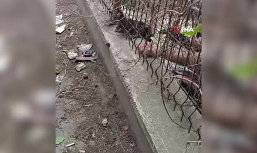 Kırıkkale'de demir korkuluklara sıkışan yavru kedi kurtarıldı