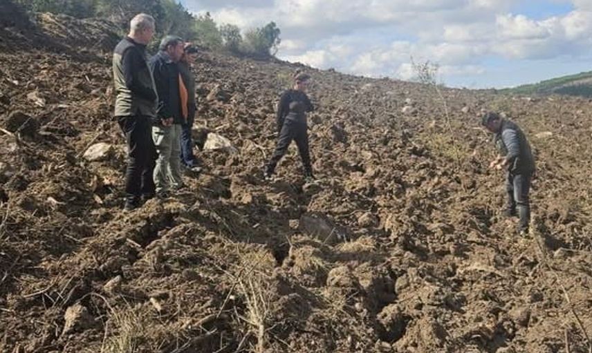 Gönen'de geniş alanda endüstriyel plantasyon kuruluyor