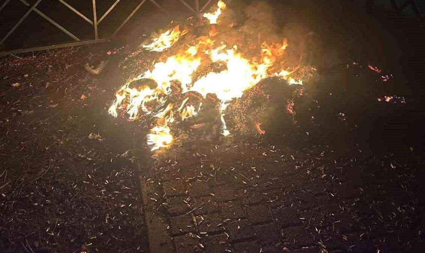 Eskişehir'de gençler tarafından çıkarılan yangın parkı alev alev sardı