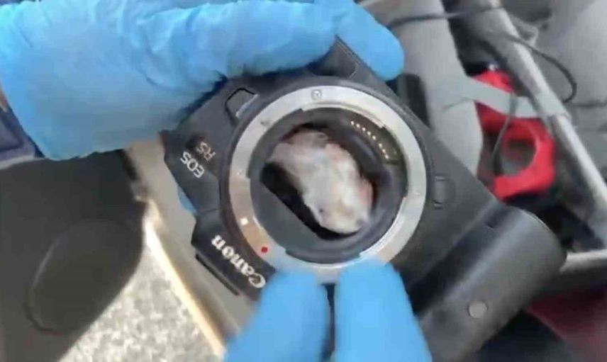 Kastamonu'da fotoğraf makinesinde uyuşturucu bulundu: 2 kişi gözaltına alındı