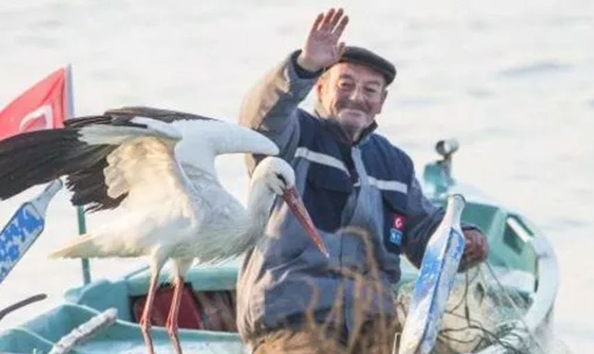 11 yıllık dostluk! Yaren Leylek ve Balıkçı Adem Amca yine aynı yerde buluştu