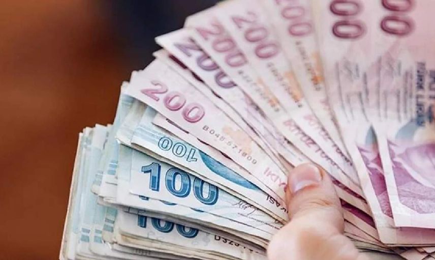 1100 TL yardım parası başvurusu nasıl yapılır? 1100 TL yardım parası sorgulama