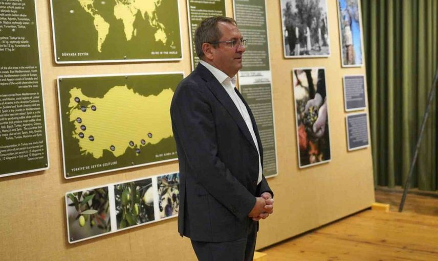 Ayvalık zeytin kültürü Kırlangıç'la yeniden hayat buluyor
