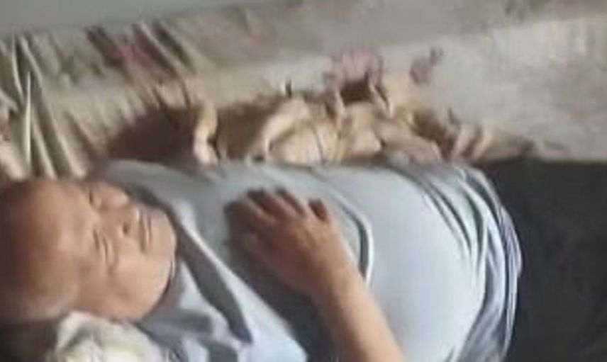 Sultangazi'de çatı katındaki arı istilası: Hastanelik olan kadın yaşadığı dehşeti anlattı