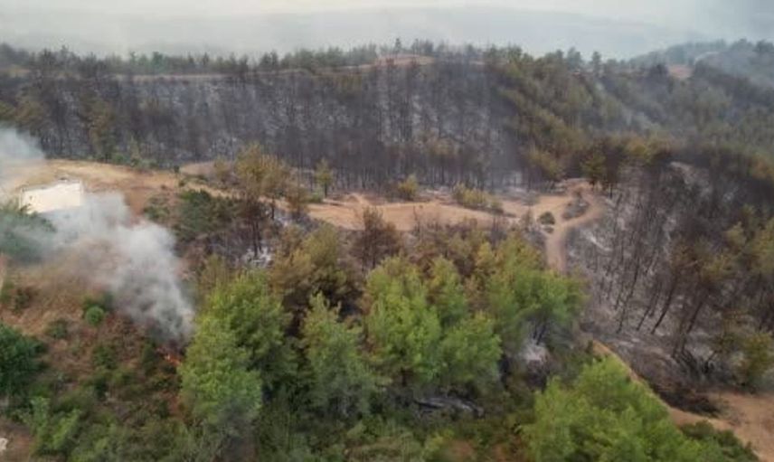 Kozan orman yangınında yangın söndürme seferberliği sürüyor