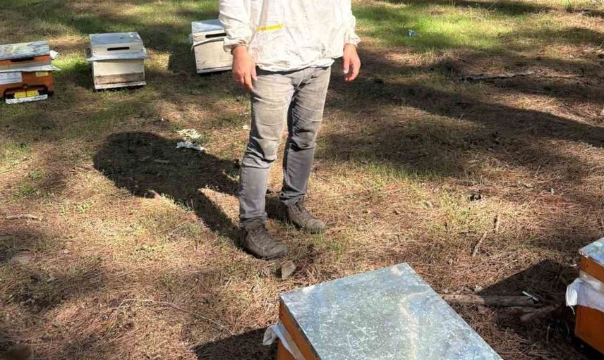 Yılların arıcısı İbrahim Ergül'den bal hakkında dikkat çeken açıklamalar
