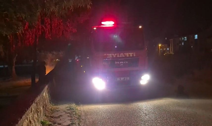 Eskişehir'de parkta çıkan kasten yangın, itfaiye ekipleri tarafından kontrol altına alındı