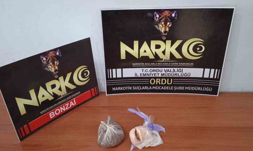 Ordu'da uyuşturucu operasyonu: Şüpheli tutuklandı
