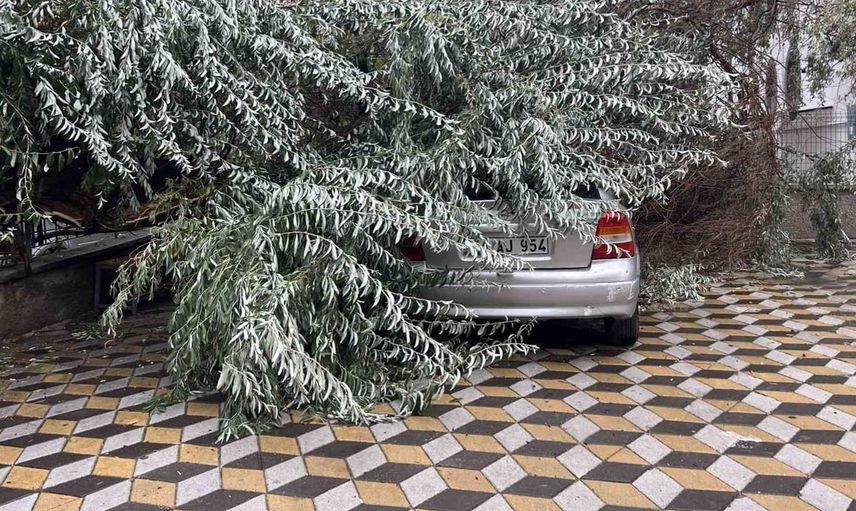 Niğde'de fırtına devirdiği ağaç, park halindeki araca hasar verdi
