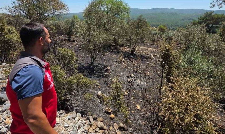 Muğla'da yangınların ardından hasar tespit çalışmaları sürüyor