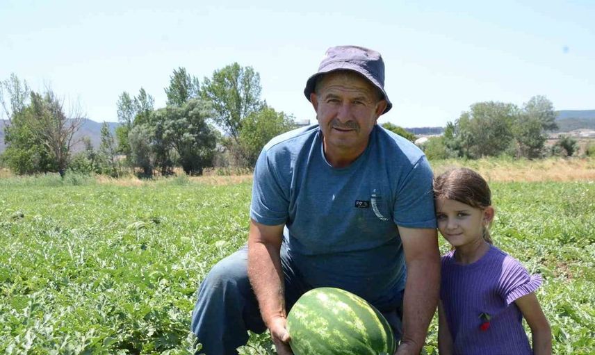 Bilecik'te karpuz hasadı sürüyor, mevsimlik işçiler çalışıyor