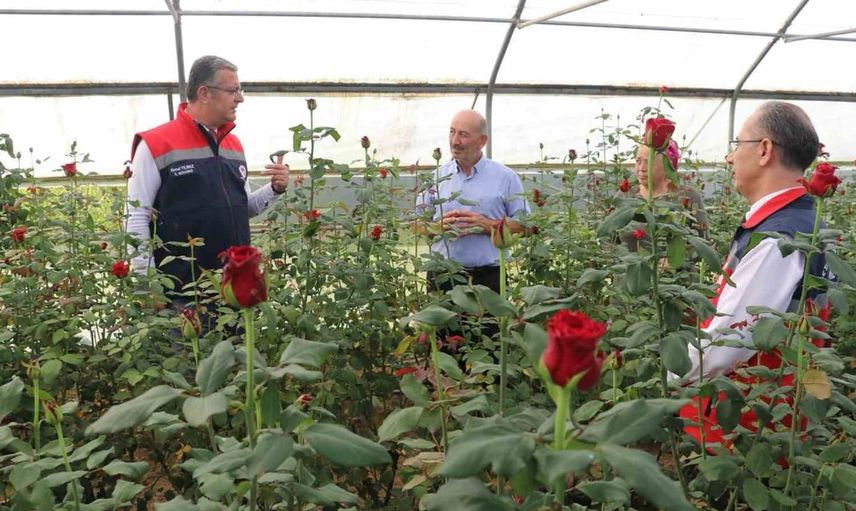 Samsun'da kesme çiçek üretimi 7 milyonu aştı