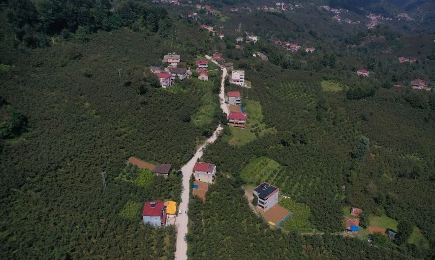 Ordu kırsalında ulaşım konforu artıyor: Beton yol çalışmaları tamamlanıyor