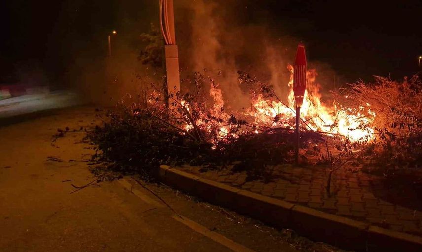 Alaca'da çıkan örtü yangını itfaiye tarafından kontrol altına alındı