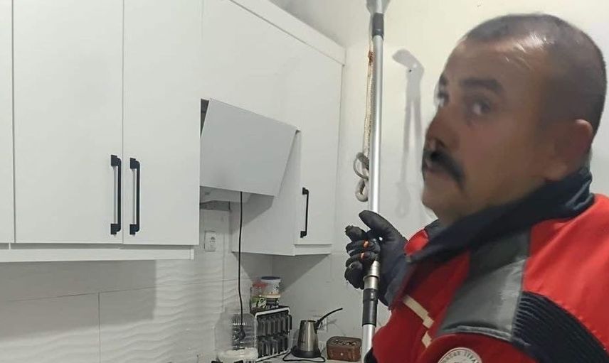 Hassa'da evde görülen yılan, doğal yaşam alanına bırakıldı