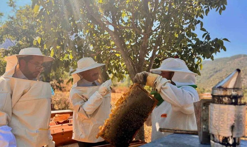 Bilecik’teki arıcılık üretimi 135 ton bala ulaştı