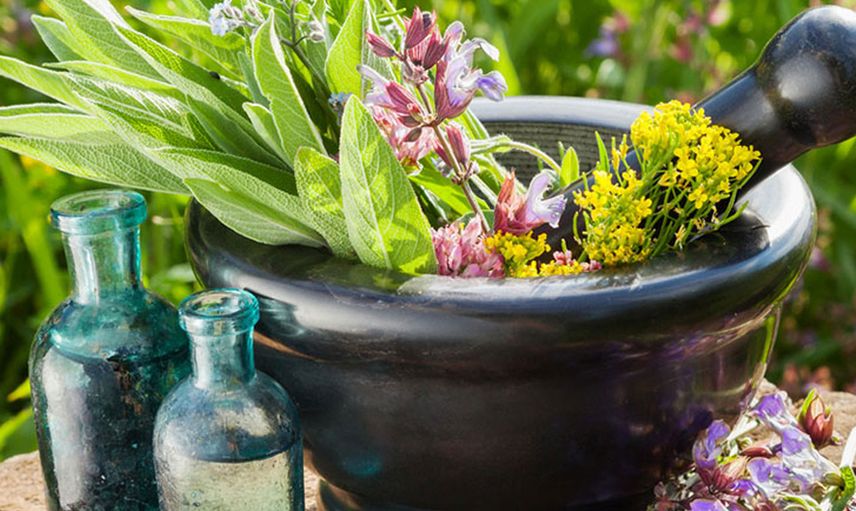 139 Çeşit Tıbbi Aromatik Ve Süs Bitkisine Hazine Desteği Yerli Üretim Hazine Taşınmazları İle Destekleniyor