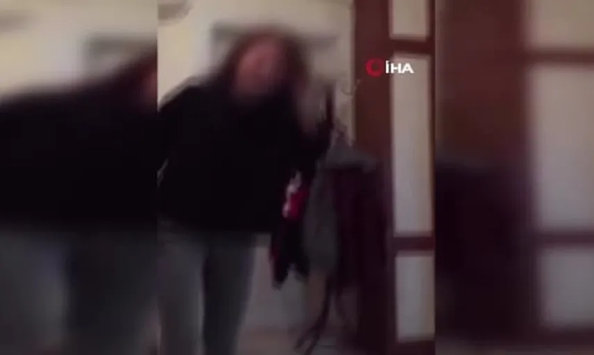 Eski görüntülerdeki kaplumbağa cinayeti sonrası şüpheli yakalandı
