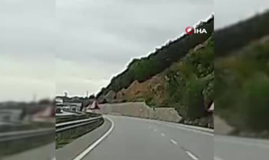 Yaralı geyiğe yardım eden ailenin hikayesi