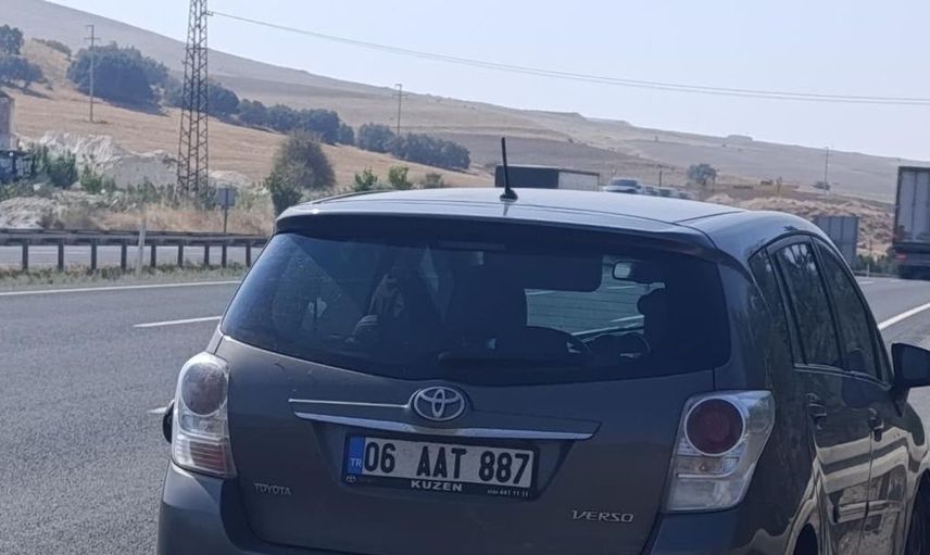 Yola aniden çıkan koyun kazaya yol açtı: Tek yaralı