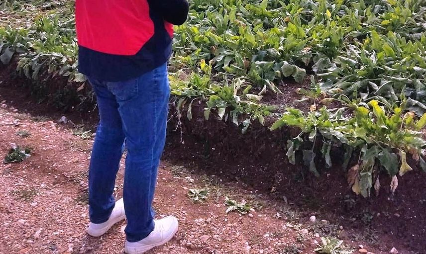Çavdarhisar'da tarımsal ürün beyanları için saha çalışmaları devam ediyor