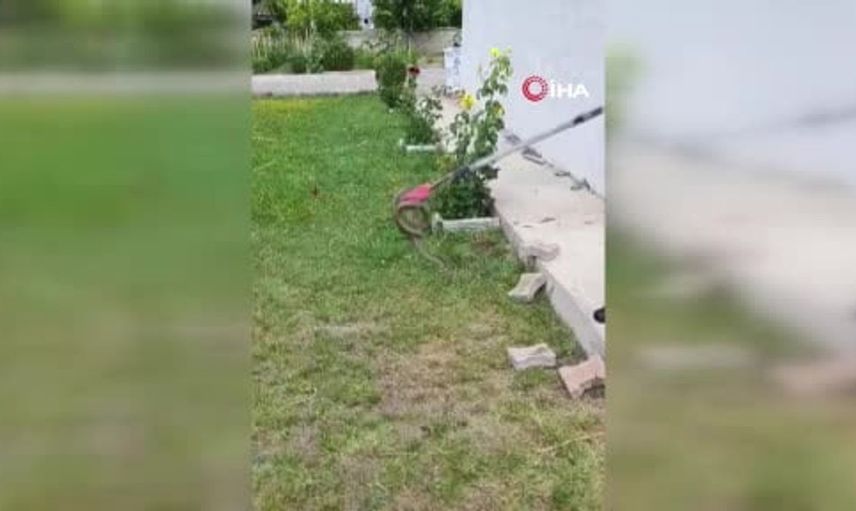 Sivas’ta yılan ihbarları artınca itfaiye ekipleri devreye girdi