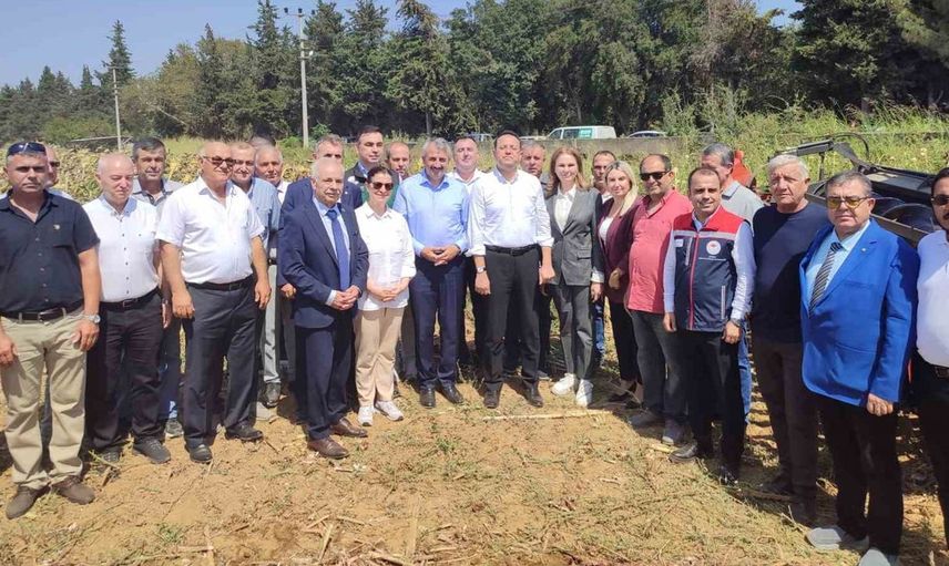 Edirne'de ayçiçeği hasadına katılan bakan yardımcısı üretimde bereket vurgusu yaptı