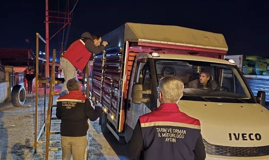 Aydın'da hayvan pazarında güvenlik denetimleri devam ediyor