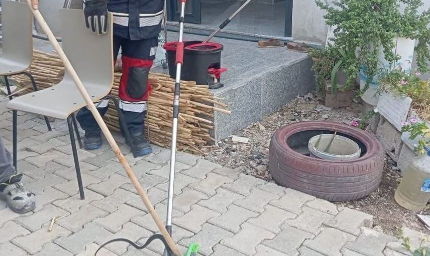 Hatay'da yılanlar güvenli bir şekilde yakalanarak doğal yaşam alanlarına bırakıldı