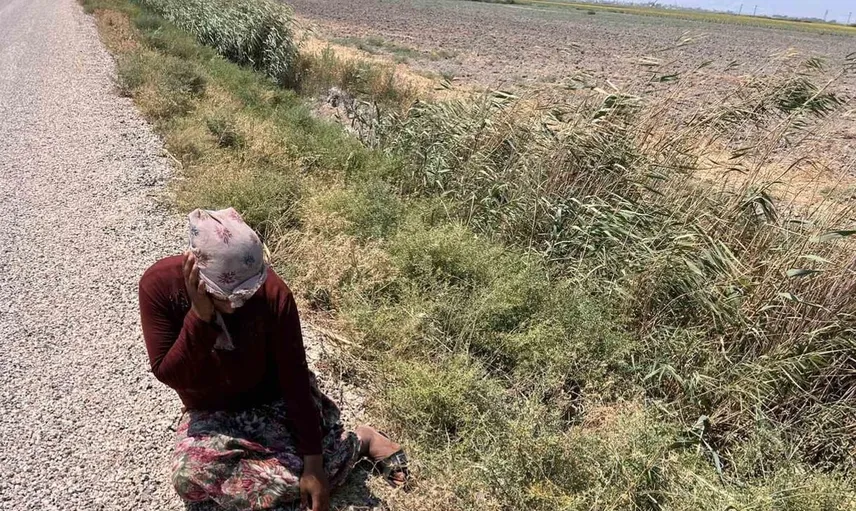 Hayvanlarıyla geçinen kadının başı dertte: İneği su kanalına düştü, buzağıları hastalandı