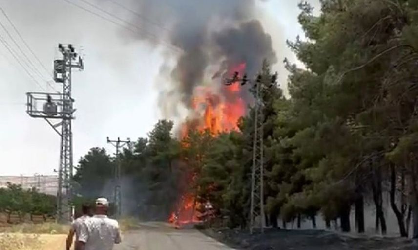 Gaziantep’in Nizip ilçesinde orman yangını kontrol altına alındı