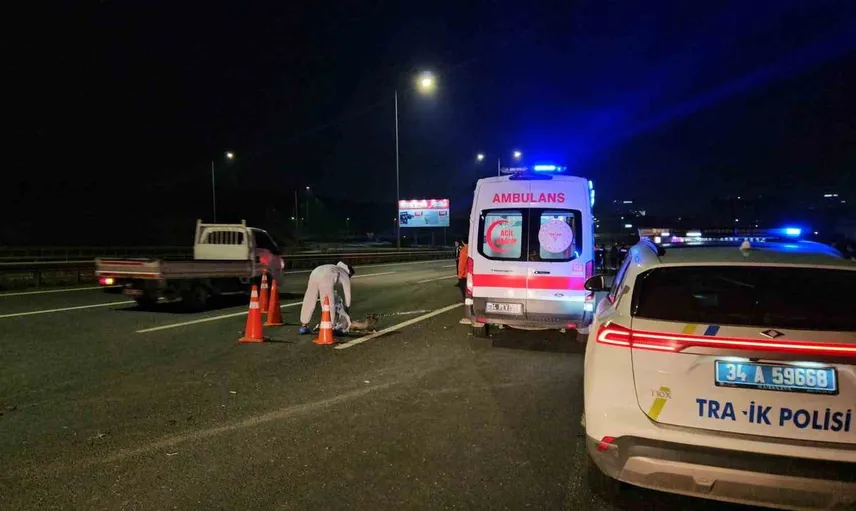 Kuzey Marmara'da alkollü sürücü kaza yaptı: Bir kişi hayatını kaybetti