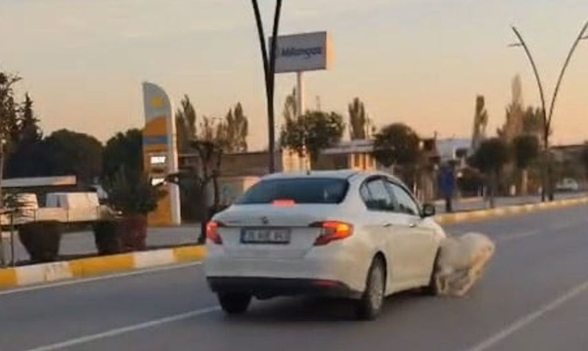 Akhisar'da yolda koşan keçiler trafik kazasına neden oldu