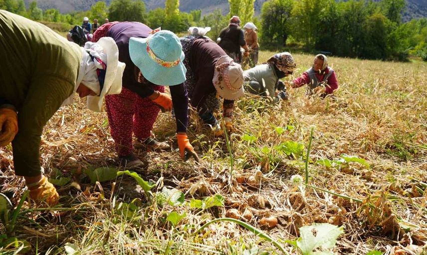 Erzincan'da tarımsal desteklerle yeni projeler hayata geçiyor