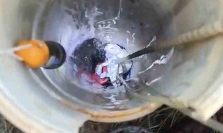 Yavru kedi sondaj kuyusundan itfaiye ekipleri tarafından kurtarıldı