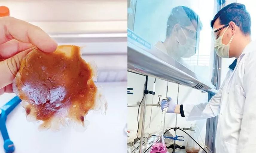 19 yaşındaki Türk gençten gururlandıran çalışma: Ispanaktan geri dönüşümlü plastik üretti