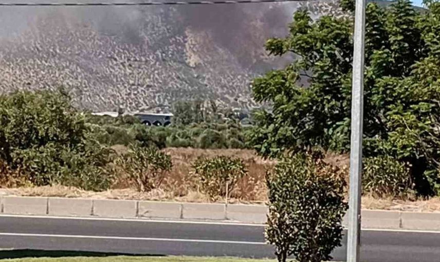 Milas’ta sazlık yangınına hızlı müdahale: Ekipler seferber oldu