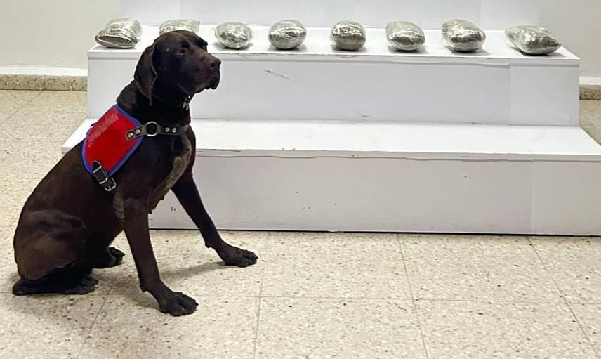 Başkale'de jandarmadan uyuşturucu baskını: 10 kilo esrar ele geçirildi