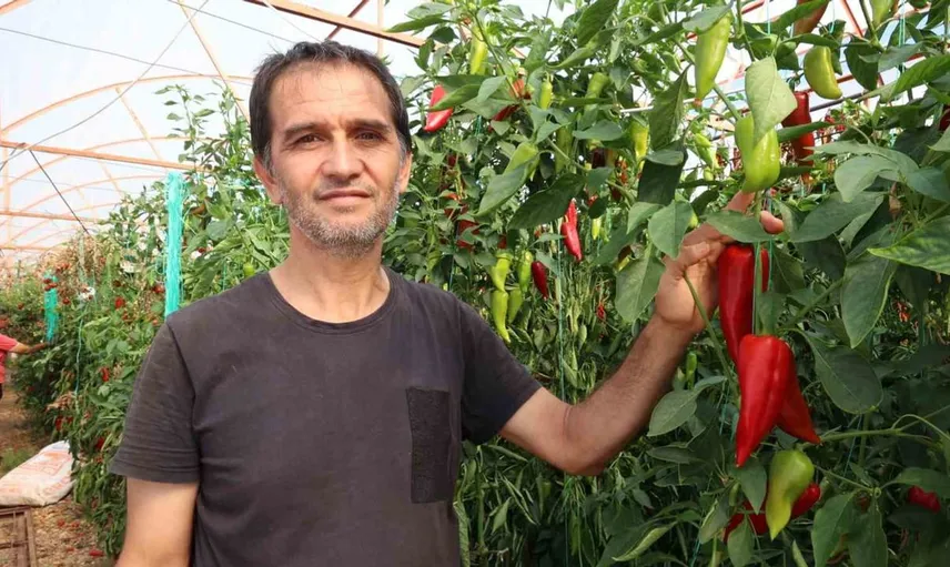 Antalya tarımına enerji desteği ile üretim artışı sağlanıyor