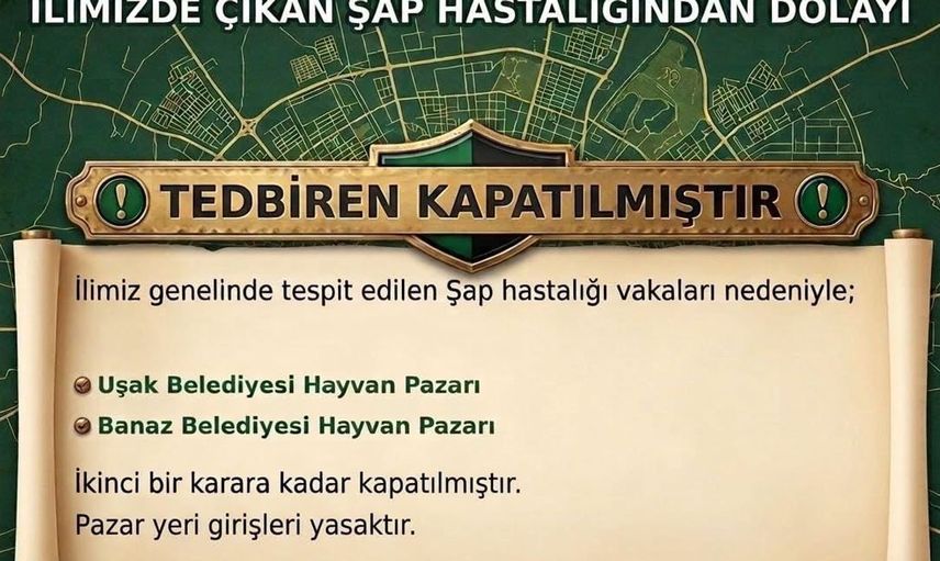 Uşak'taki hayvan pazarları şap hastalığı nedeniyle kapatıldı